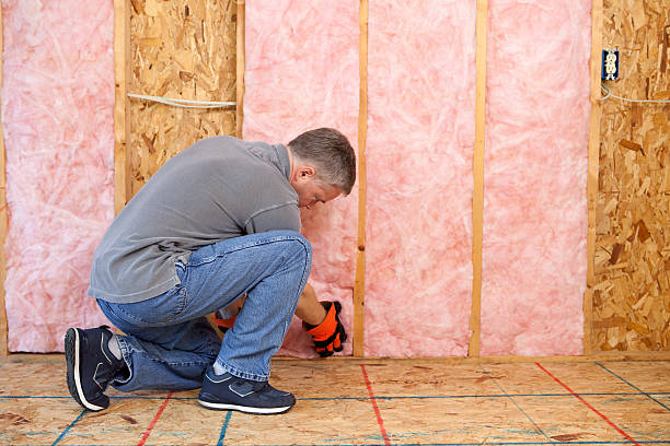 Professional Insulation Contractor in Monahans, TX