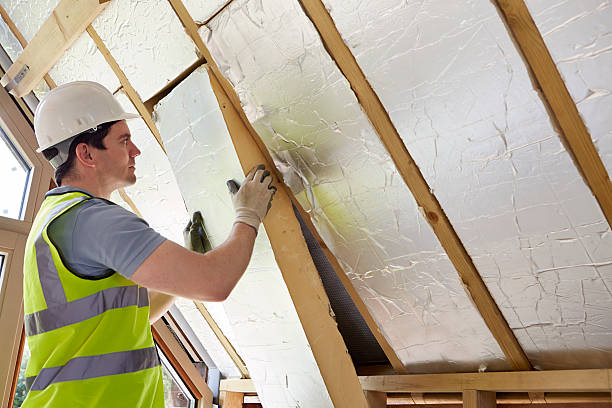 Best Cellulose Insulation in Monahans, TX